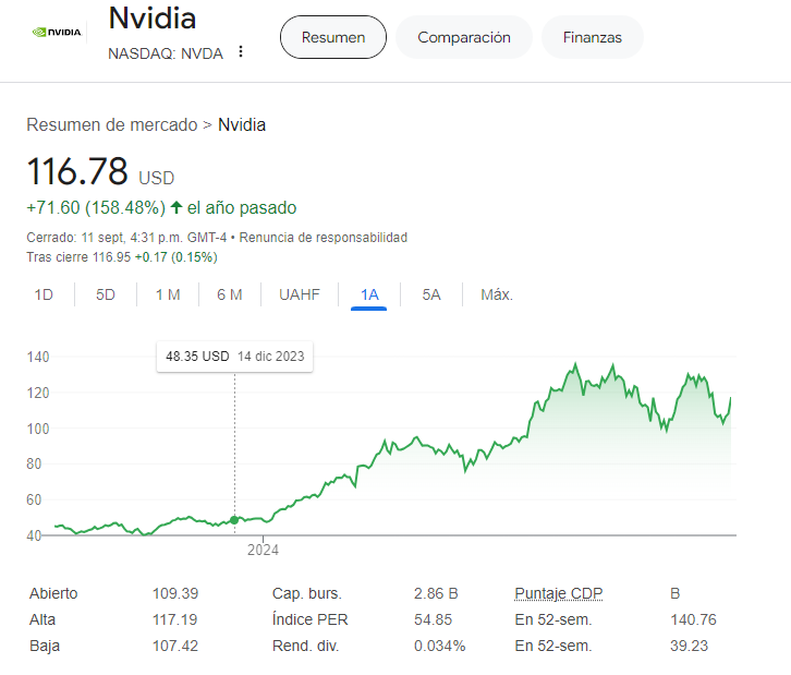 precio de las acciones de Nvidia en 2024